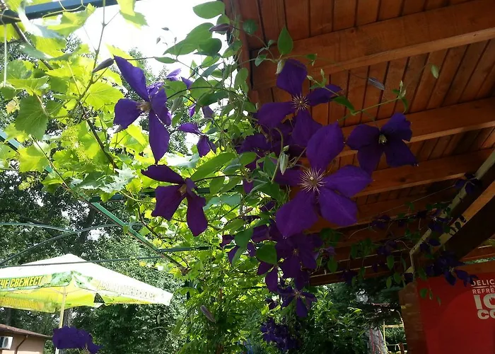 Kompleks wypoczynkowy туристически комплекс