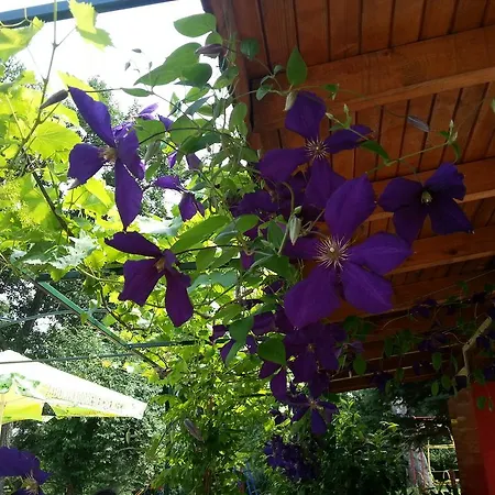 假日公园 туристически комплекс