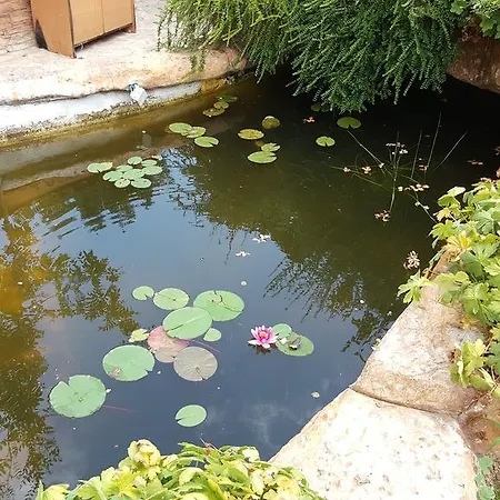 комплекс странджа Средец